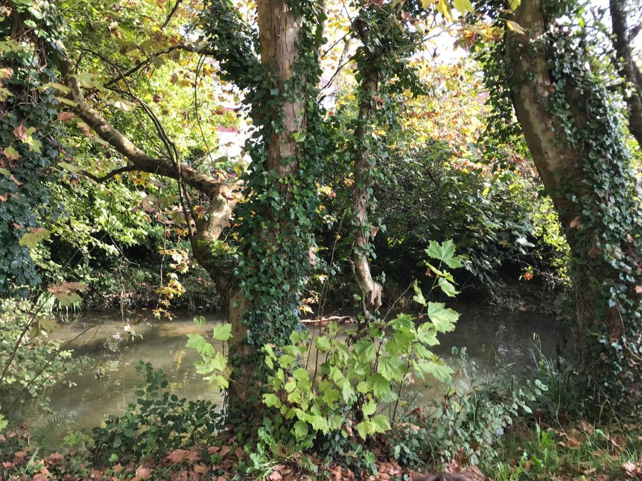 Camping Le Ruisseau Saint-André-de-Seignaux 외부 사진