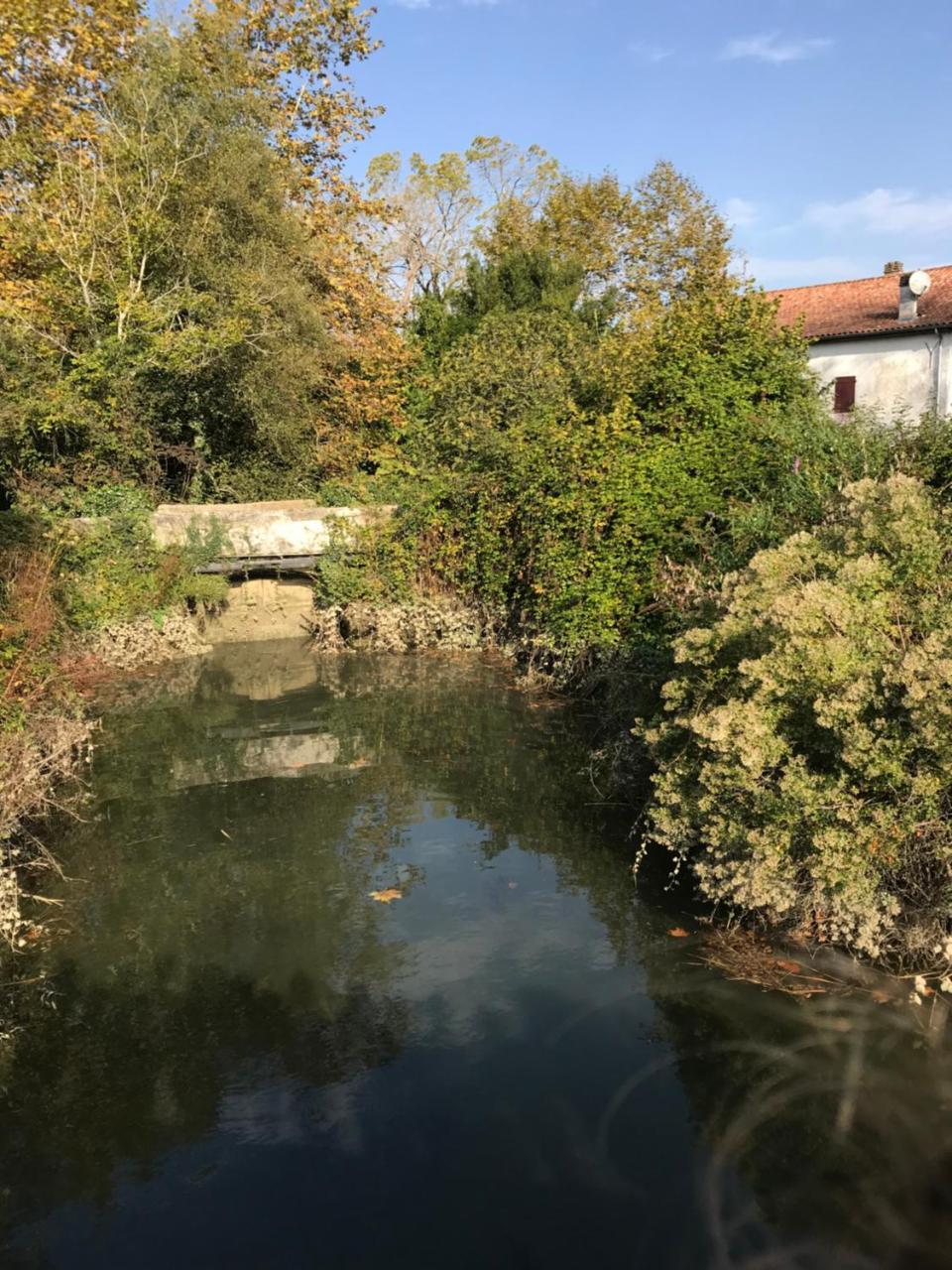 Camping Le Ruisseau Saint-André-de-Seignaux 외부 사진