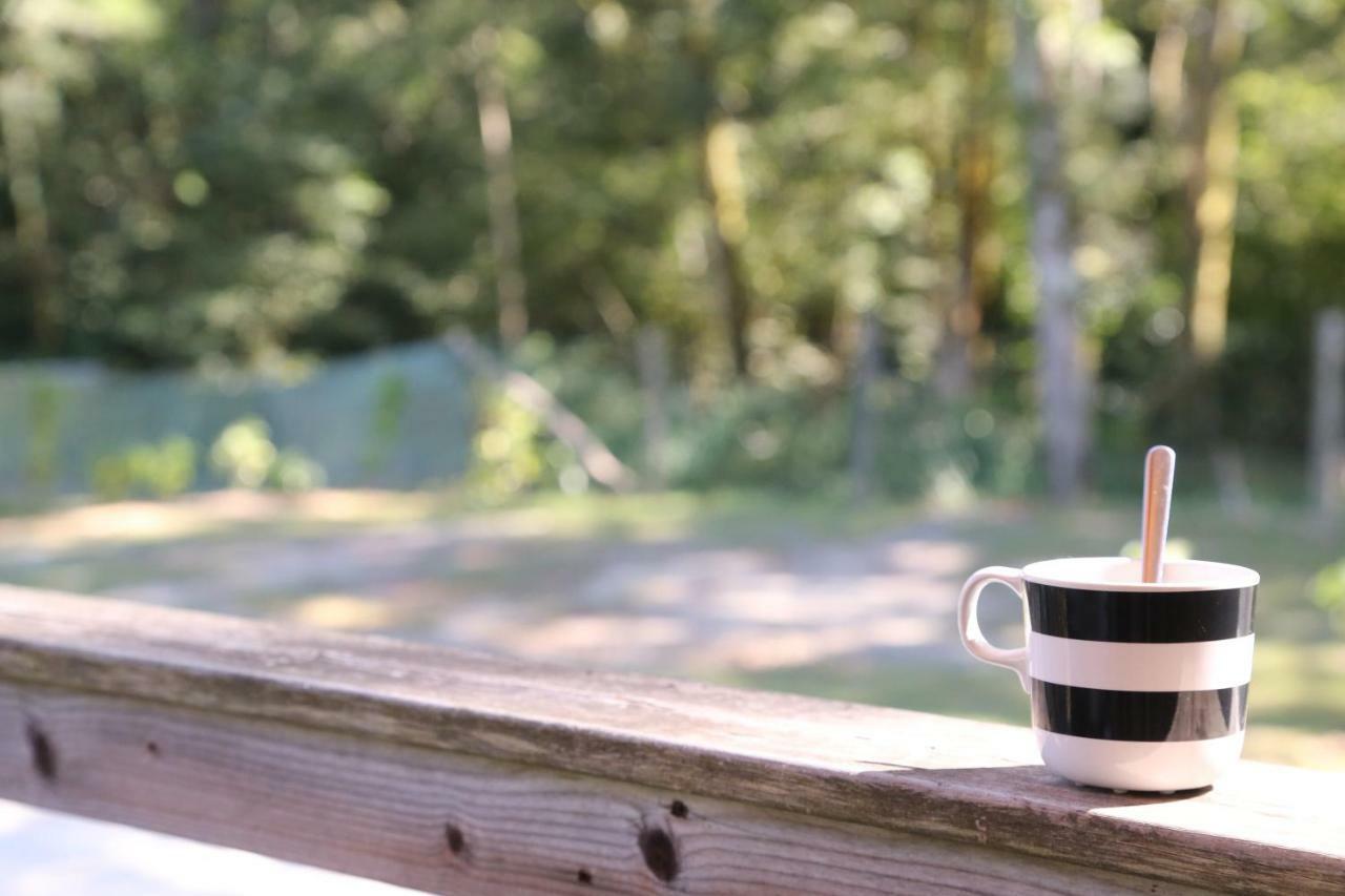 Camping Le Ruisseau Saint-André-de-Seignaux 외부 사진
